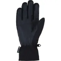 Viking Revo Gore-tex Handschuhe
