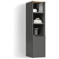 Livinity UNIVERSALSCHRANK Piave Anthrazit/Sonoma mit einer Tür