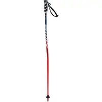 Swix Wc Pro Sg Junior Stöcke Silber 115 cm Silber 115 cm