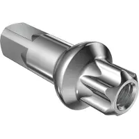 Dt Swiss Alu-Nippel Squorx Pro Head 15 mm Silber - präziser, montagefreundlic....