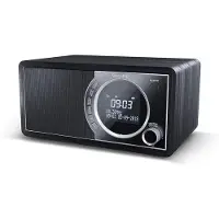 Sharp Tragbares Digitalradio DR-450 DAB+\/FM LCD Schwarz