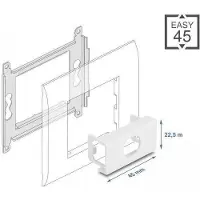 DeLOCK - Easy 45 - Einrastmodul - 1 Modul - weiß, RAL 9003