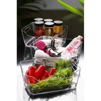 Hermia Concept , CLRORG07-3, Kühlschrank-Organizer-Set (3-teilig), Transparent, 100 % KUNSTSTOFF, 30,5 x 21,5 x 12,5 cm