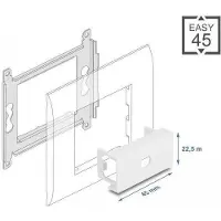 DeLOCK - Easy 45 - Einrastmodul - 1 Modul - weiß, RAL 9003