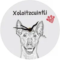 Art-Dog Mexikanischer Nackthund, Xoloitzcuintle, Xolo, Tepeizeuintli - Wanduhr mit Hund, Regal Uhr mit Druck, personalisierte Hausdekoration von .