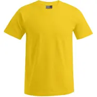 Promodoro Men's Premium-T