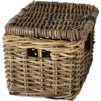 Fastrider Sera Rattan Lid 26l Korb