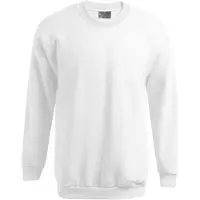 Promodoro Men's New Sweater 100