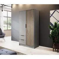 COLLECTIFY24 Kleiderschrank mit Drehtüren und Lamellen ELIA 100 cm 2-türig mit Schubladen Kleiderschrank mit Lamellen und 2 Schubladen, Breite: 100 cm, Farbe: Grau