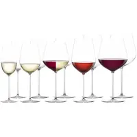 Zwiesel Glas Glas VUELO Wein- und Champagnergläserset 10-teilig