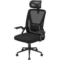 Zaisze Bürostuhl Ergonomisch Schreibtischstuhl Höhenverstellbar, atmungsaktive Netzbespannung, um 360° drehbarer Stuhl mit Wippfunktion, Schwarz