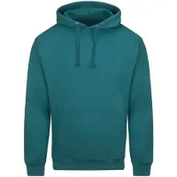 Just Hoods College Hoodie
