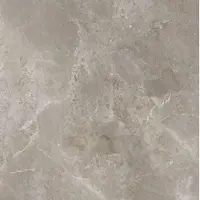 Porcelaingres Royal Stone Feinsteinzeug-Fliese palladium grey 60x60 cm matt X600382X8