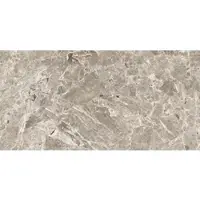 Porcelaingres Estro Feinsteinzeug-Fliese grey 30x60 cm matt X630471X8