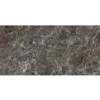 Porcelaingres Estro Feinsteinzeug-Fliese anthracite 30x60 cm matt X630470X8