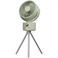 Zelurxx Outdoor Camping Ventilator Faltbar, Tragbarer Akku, 3 Stufen, 10m Wind, Type-C, Leise 35dB, Schwenkbar, Zelt-/Angel-/Reisefan, Grün
