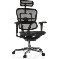 Hjh OFFICE Luxus Chefsessel ERGOHUMAN ULTRA GEN2 Ergonomischer Bürostuhl mit Armlehnen (höhenverstellbar) Netzstoff Drehstuhl für Büro, Zuhause