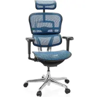 Hjh OFFICE Luxus Chefsessel ERGOHUMAN ULTRA GEN2 Ergonomischer Bürostuhl mit Armlehnen (höhenverstellbar) Netzstoff Drehstuhl für Büro, Zuhause