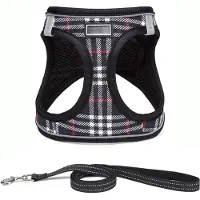 Famanu Hundegeschirr für kleine Hunde mit Leine - reflektierendes, atmungsaktives Geschirr - für kleine bis mittelgroße Hunde (XS - Schwarz kariert)