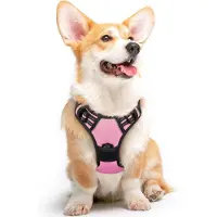 Famanu Hundegeschirr Anti-Zug für mittelgroße Hunde - verstellbares, gepolstertes Geschirr mit reflektierenden Streifen - rosa - Größe M