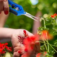 Famanu Gartenschneider 2 Stück, 170 mm, rostfreier Stahl, ergonomisch, mit Handschuhen