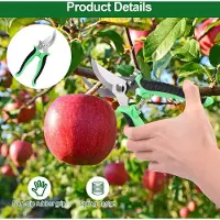 Famanu Gartenschneider mit Sicherheitsverschluss und rutschfestem Griff - klein