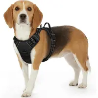 Markenlos Hundegeschirr Anti-Zug, leicht und komfortabel mit reflektierenden Details für kleine Hunde, schwarz, Größe S