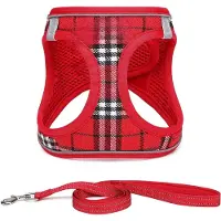 Famanu Hundegeschirr für kleine Hunde mit Leine - atmungsaktives, reflektierendes Design - Größe M, Rot kariert