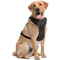 Famanu Hundegeschirr Verstellbar - Zart gepolstert für Spaziergänge und Joggen - Medium - Schwarz