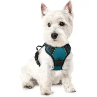 Markenlos Anti-Zieh-Hundegeschirr - Gewattiertes Hundevest mit Handgriff und Frontclip, Dunkelgrün, Größe XS