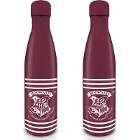 Pyramid Die Verrückte Truppe Crest & Wasserflasche