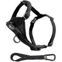 Kurgo - Tru-Fit Smart Harness Large 23-36kg w/ Seatbelt Tether
