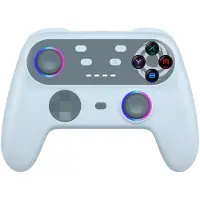 Oniverse Switch 2 Walli Controller