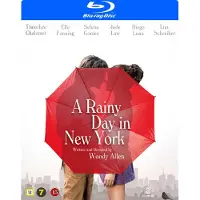 SMD Rainy Day In New York (Woody Allan movie)