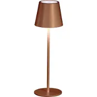 FISCHER&HONSEL GMBH Außenlampe Viletto Outdoor Rostfarben
