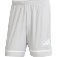 Adidas Shorts Squadra25