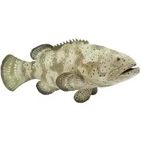 Safari Ltd 265329 Goliath-Barsch 14 cm Serie Wassertiere