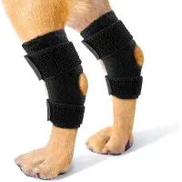 OEM Hindbein-Unterstützung für Hunde, Hundebein-Unterstützung für Hunde mit Kniegelenksluxation und Arthrose, Hunde-Rückenbrust-Unterstützung mit schnellem Gurtschloss für Hunde-Rückenwunden (S)