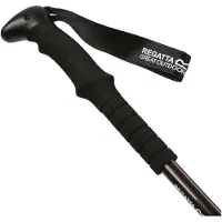 Regatta Carbon-Wanderstock