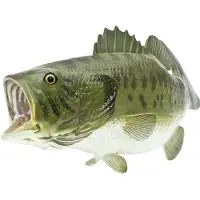 Safari Ltd Large Mouth Bass Figur Grün From 3 Years Grün From 3 Years
