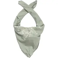 Devold Endurance Merino Stirnband