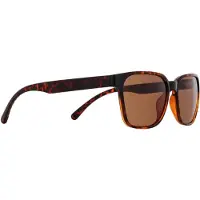 Red Bull Spect Eyewear Eliot Havanna Havanna -