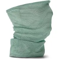 Salewa Icono Headband pastel green/meadow (5A91) UNI58
