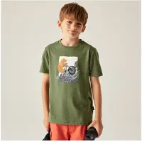 Dare 2b Dare2b Trailblz Iiitee nephitegreen (1W3) 9-10yrs