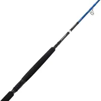 Savage Gear SGS2 Offshore Plug 2,50m 50-120g H - Angelrute