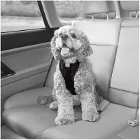 Kurgo Tru-Fit Smart Hundegeschirr