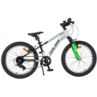 Volare Boost Kinderfahrrad - 20 Zoll - 7 Gänge - Silber/Grün