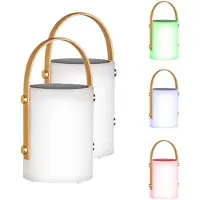 Fischer Leuchten 2er Set RGB LED Solar Tischleuchte, Fernbedienung, dimmbar, USB