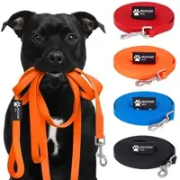 Reichstadt Hundeleinen PVC in Orange | Gr.: 10 m