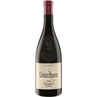 Weingut Umathum Blaufränkisch Kirschgarten 2017 Umathum 0,75l